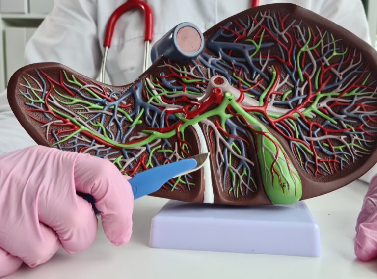 Ecografía hepatobiliar Ecografía hepatobiliar